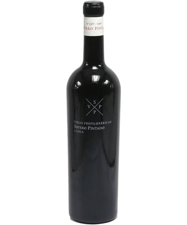 SOTERO PINTADO VIÑAS PREFILOXERICAS
