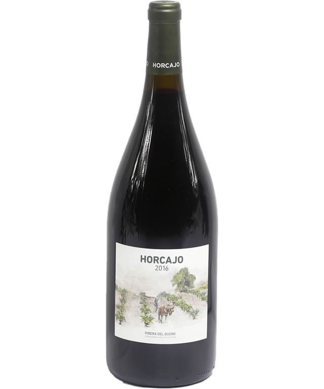 CEPA 21 HORCAJO 2018