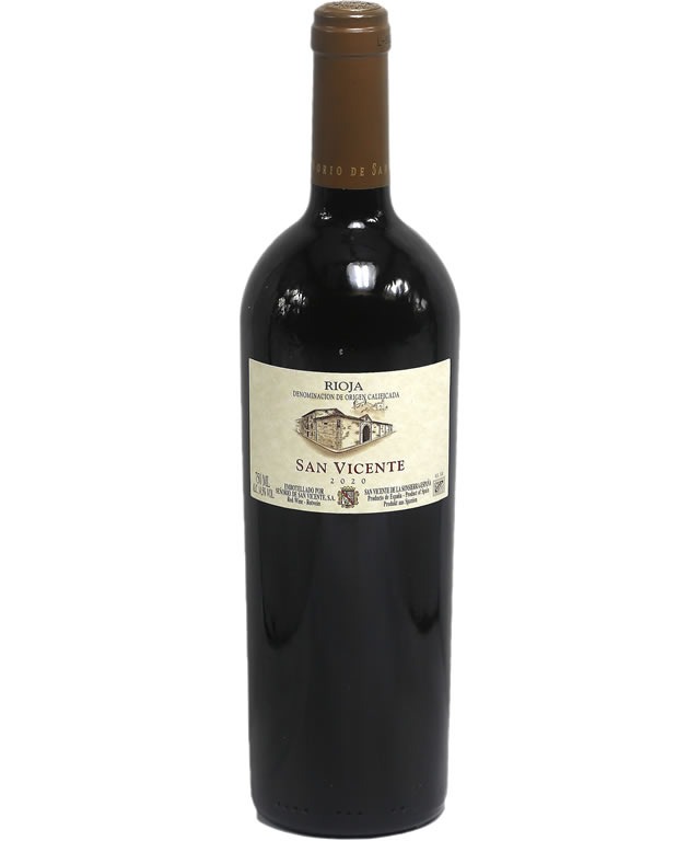 SAN VICENTE 2020
